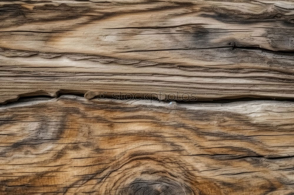 Similar – Image, Stock Photo Wood with history