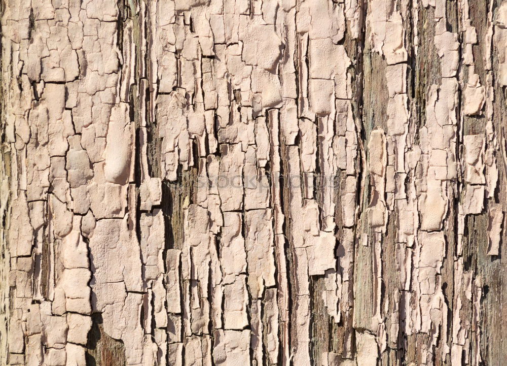 Similar – Image, Stock Photo sea bed Sea bed Loam Brown