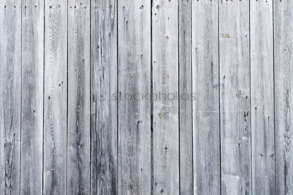 Image, Stock Photo Door with round windows on white facade