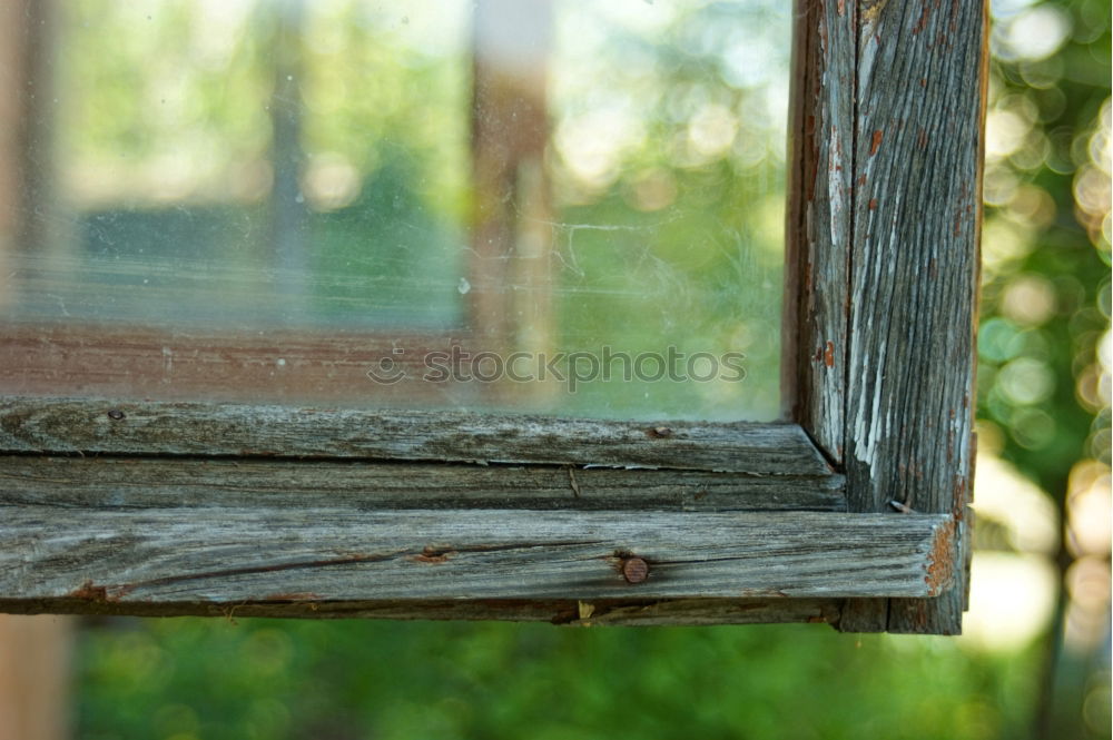 Similar – Homemade birdhouse for the winter made of old grey wood at the edge of the forest on a farm in Rudersau near Rottenbuch in the district of Weilheim-Schongau in Upper Bavaria