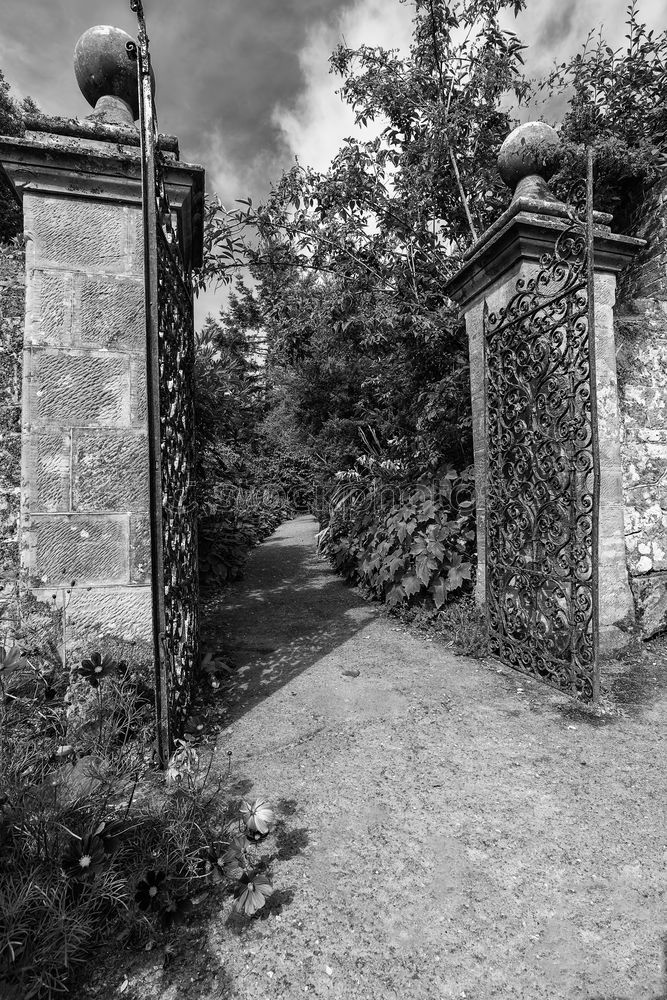 Similar – Jewish Cemetery, Prague