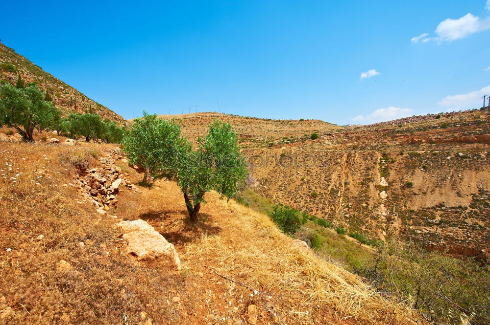 Similar – Image, Stock Photo Golan Heights-Israel