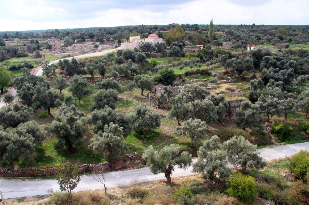 Similar – Foto Bild Mini-Straße in Andalusien