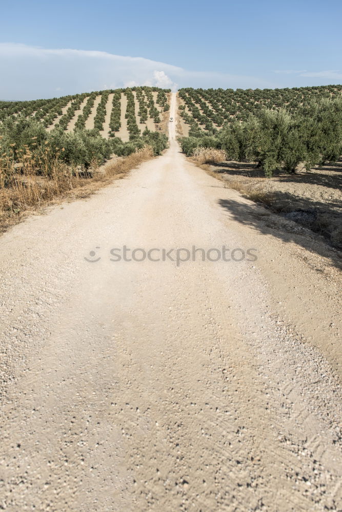 Similar – Image, Stock Photo Woman walking on dirt road.