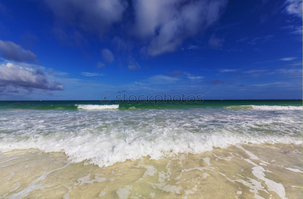 Similar – beach life Beach Ocean