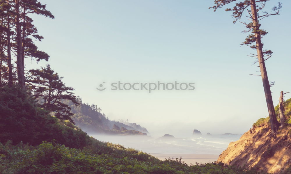 Similar – Image, Stock Photo climbing idyll