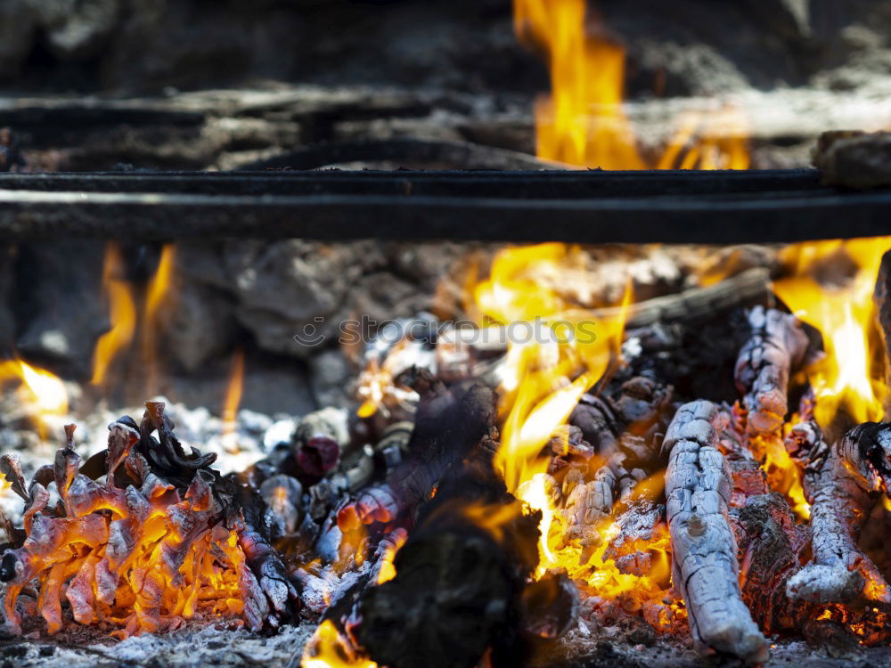 Similar – Image, Stock Photo barbecue delights Sausage