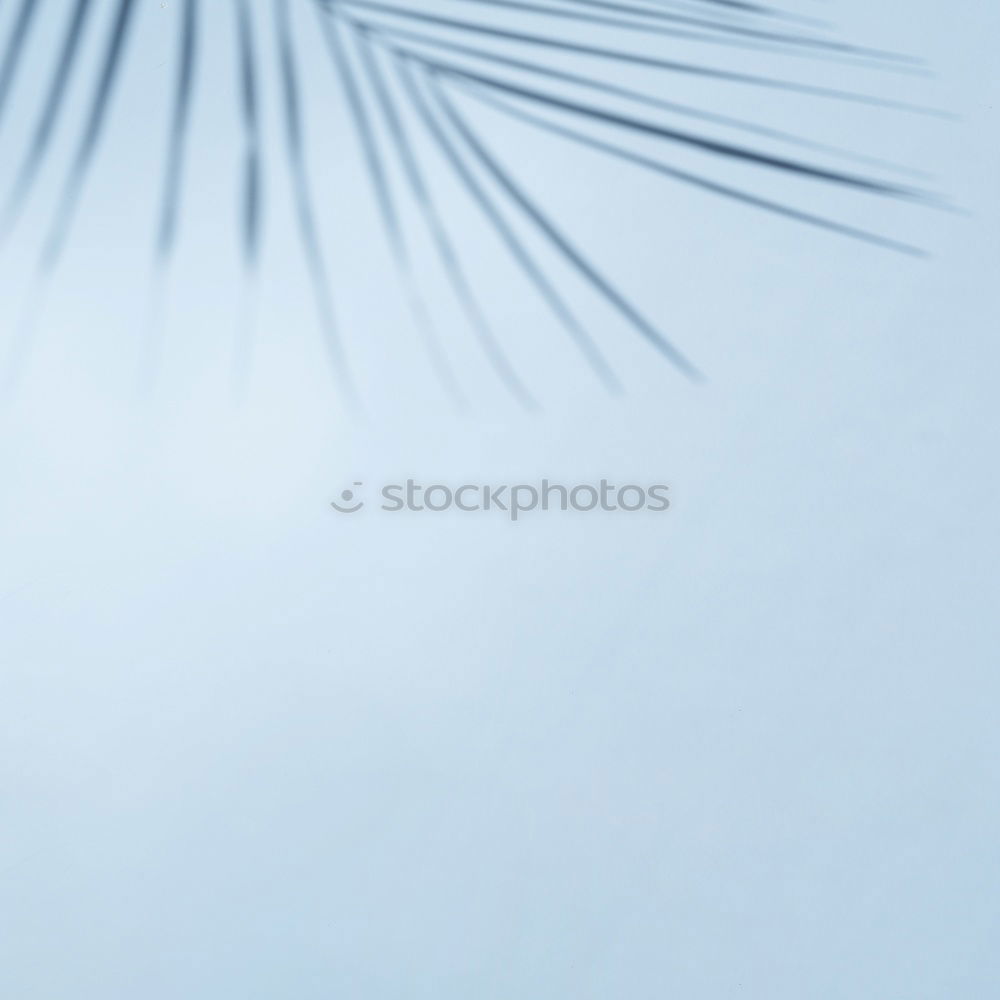 Similar – Image, Stock Photo Sunshade on the beach