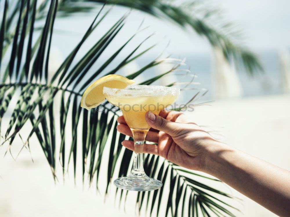 Similar – Image, Stock Photo women in bikini enjoying fresh fruit platter at the pool