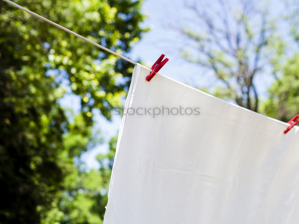 Similar – Image, Stock Photo Whitewash day… Summer