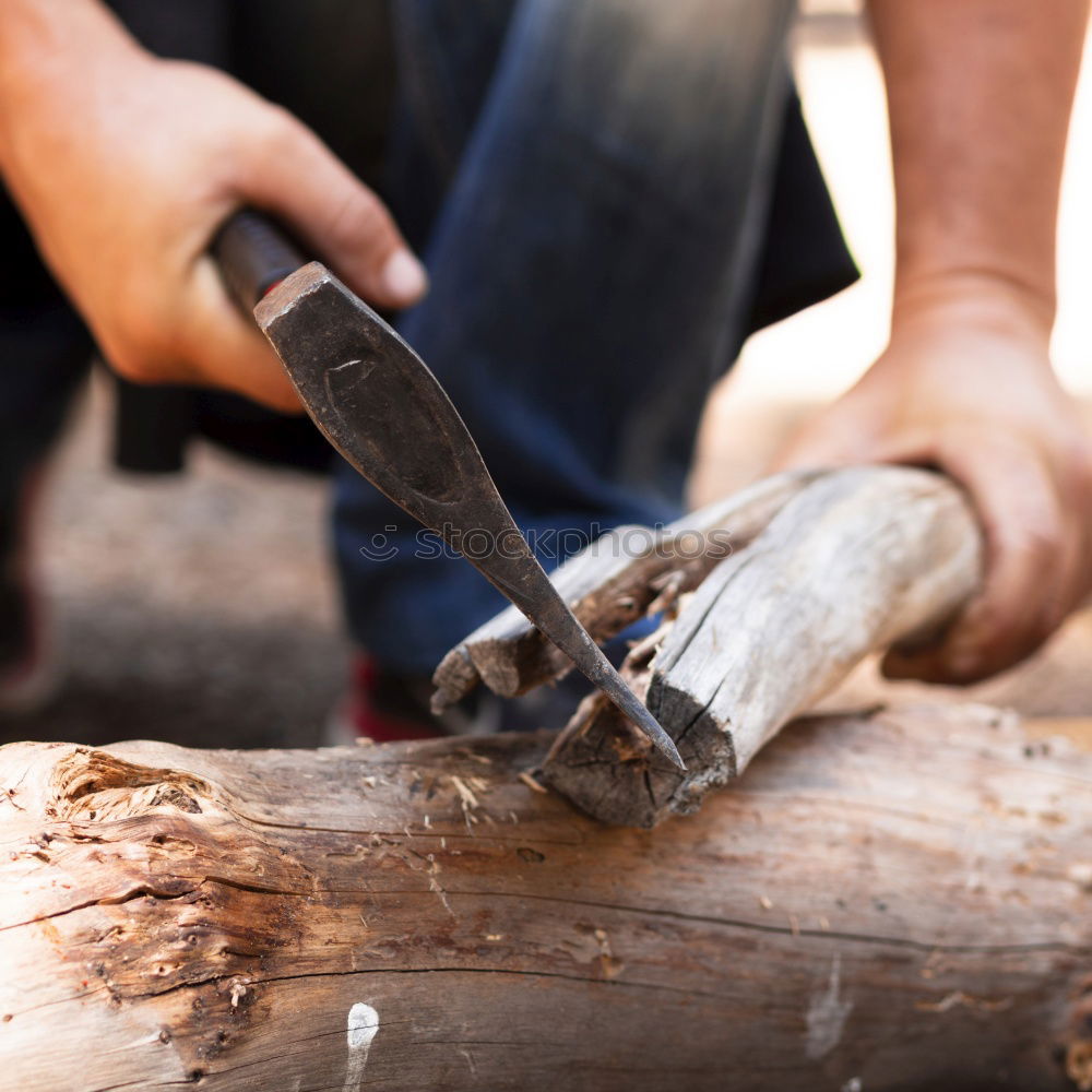 Similar – Man shoeing horse near stable