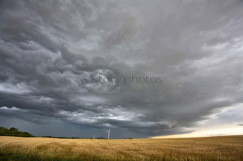 Similar – Image, Stock Photo Weather Nature Landscape