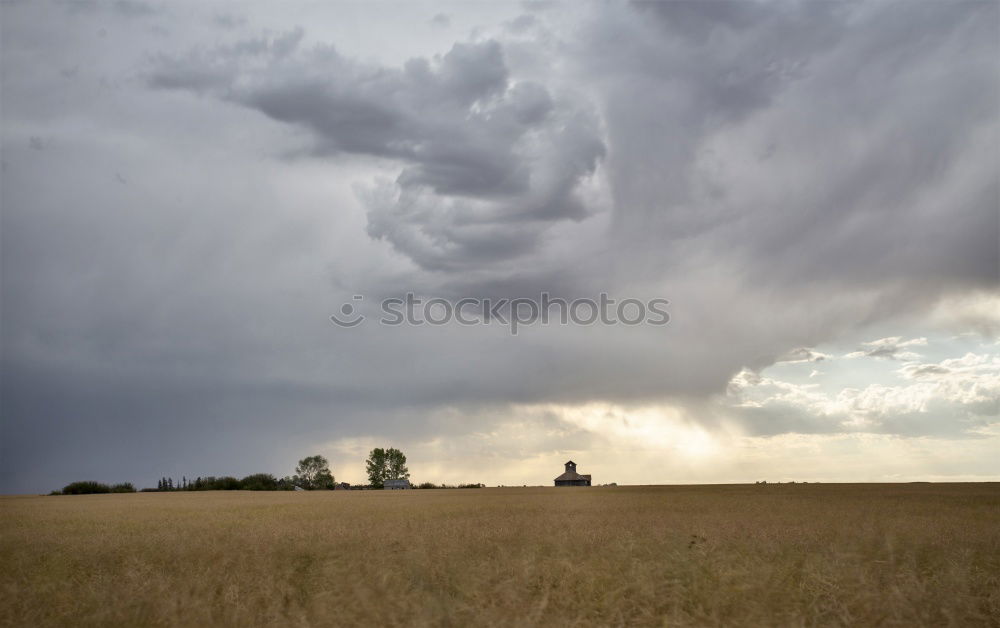 Similar – Bavaria Environment Nature