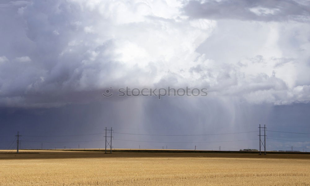 Similar – Wolken-Reich Ernte Weizen