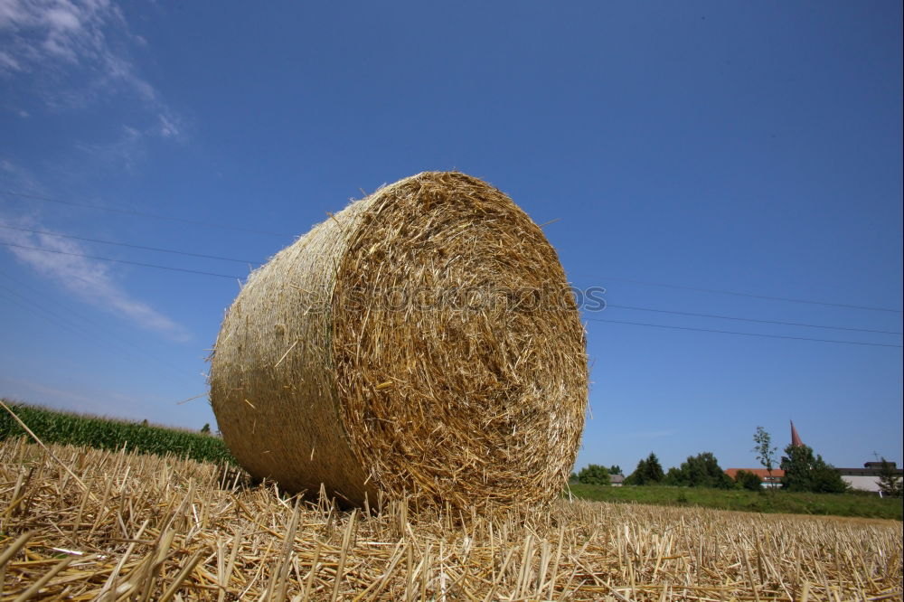 Similar – Image, Stock Photo straw bale Straw