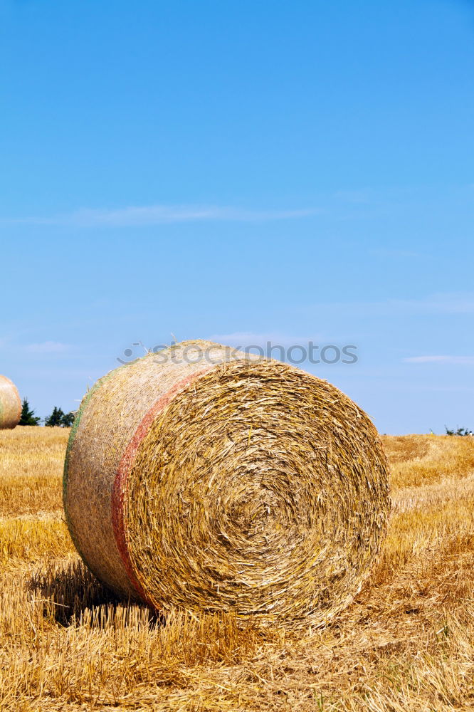 Similar – straw bale Hay bale Summer