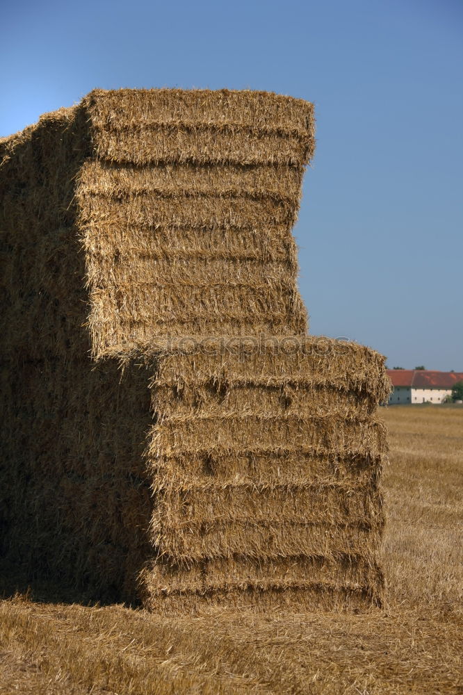 straw hut Straw