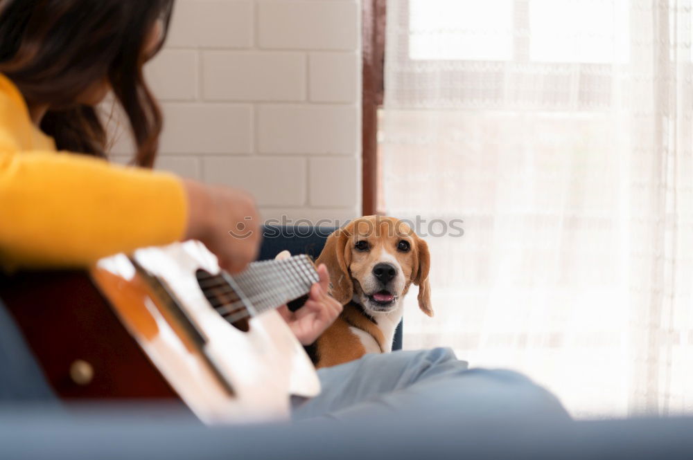 Similar – Image, Stock Photo Woman and dog relaxing at home