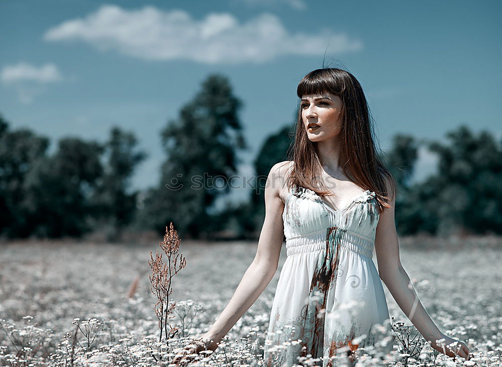 Similar – Image, Stock Photo Carina in the cornfield.