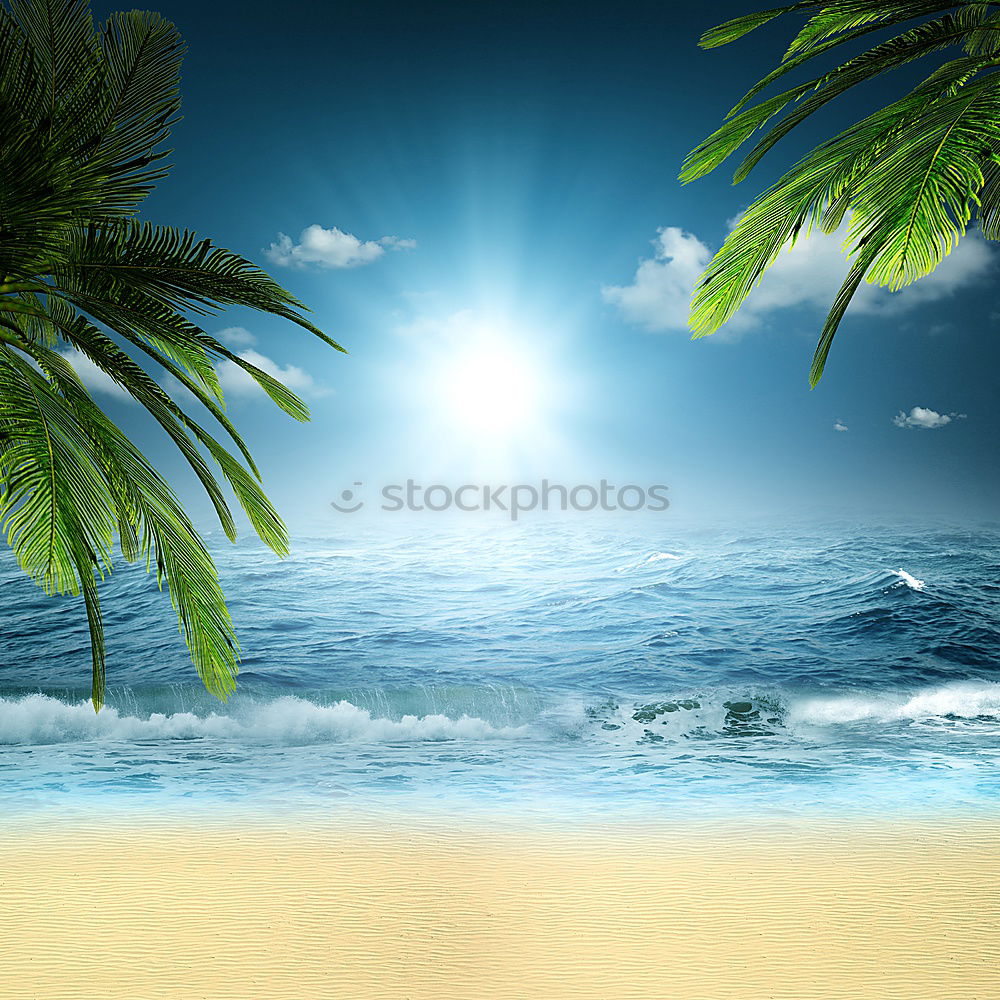 Similar – paradise Palm tree Ocean