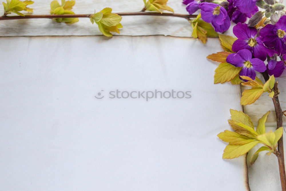 Foto Bild best eastern Ostern