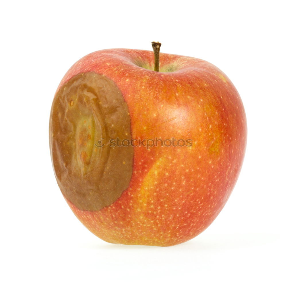 Similar – Apple, Elstar Fruit Nature