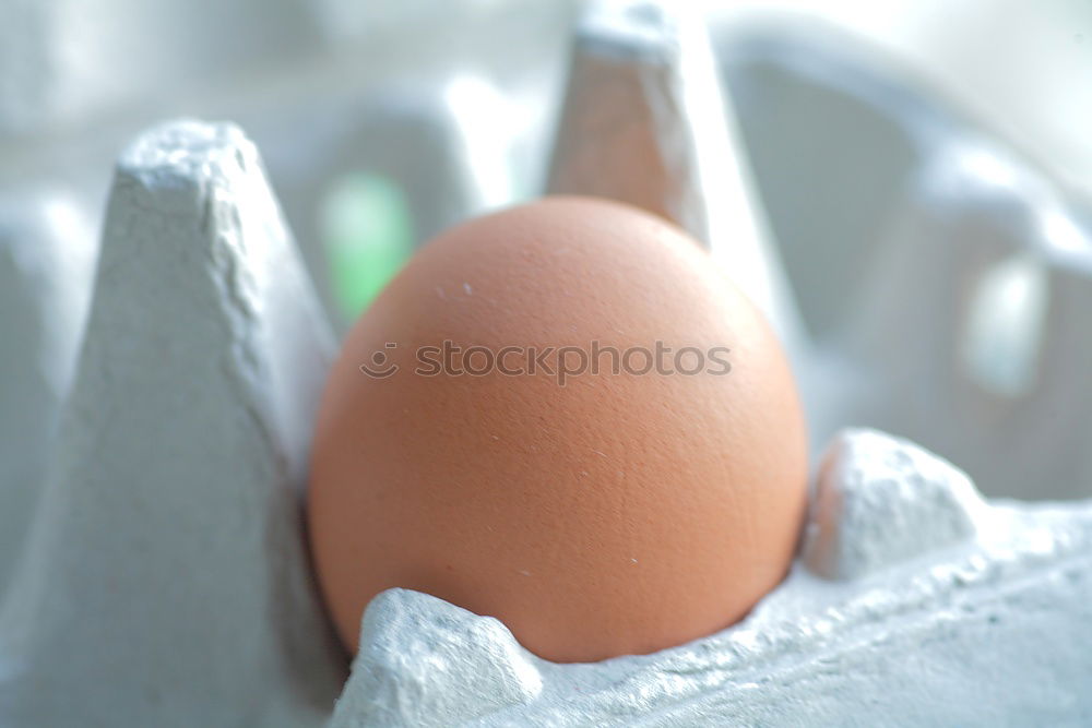 Similar – Image, Stock Photo Karola’s delivery Food Egg