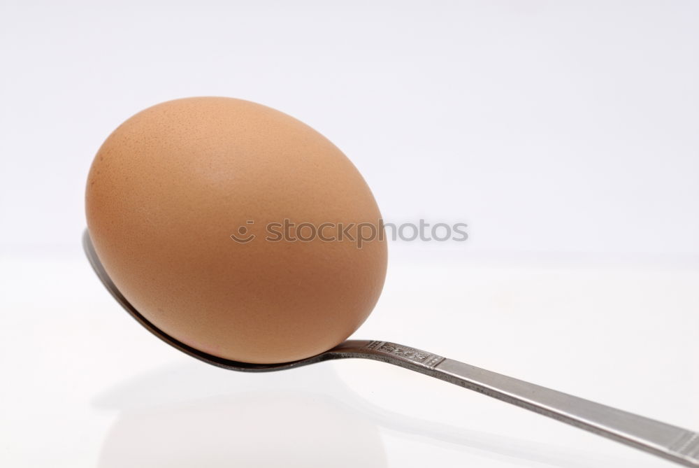 Similar – Image, Stock Photo breakfast egg Egg Oval