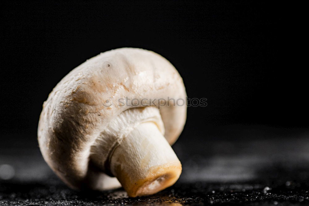 Similar – Image, Stock Photo Together Food Peanut Life