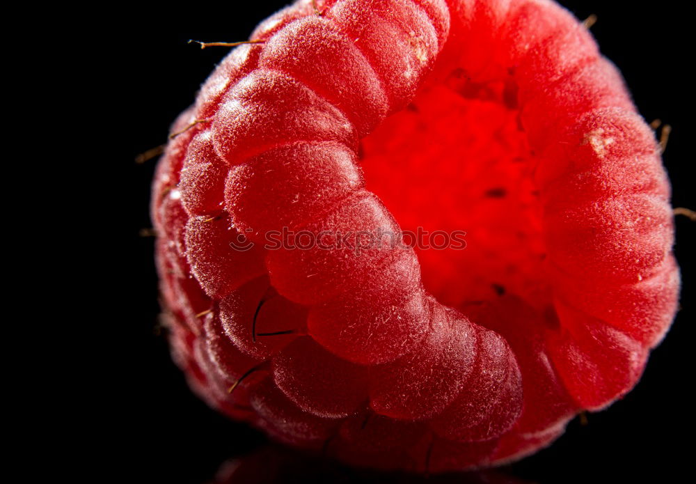 Similar – Image, Stock Photo Frozen red raspberries