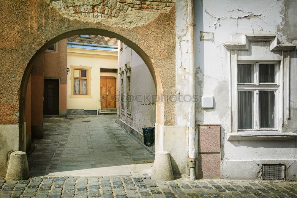 Similar – sackgasse Himmel Pflanze