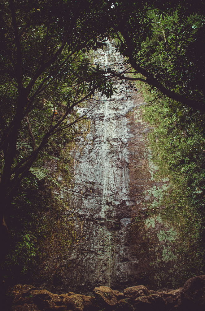 Similar – Little brook in the park