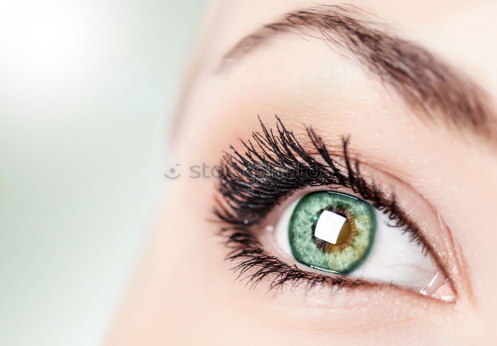 Similar – Closeup eye Human being