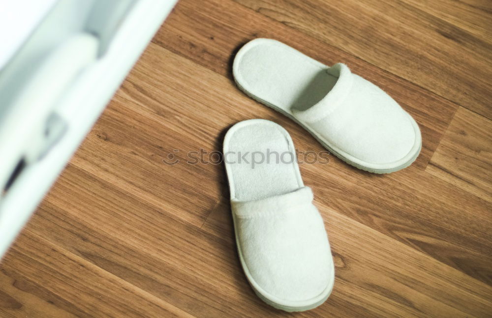 Similar – Image, Stock Photo timid shoes Wood flour