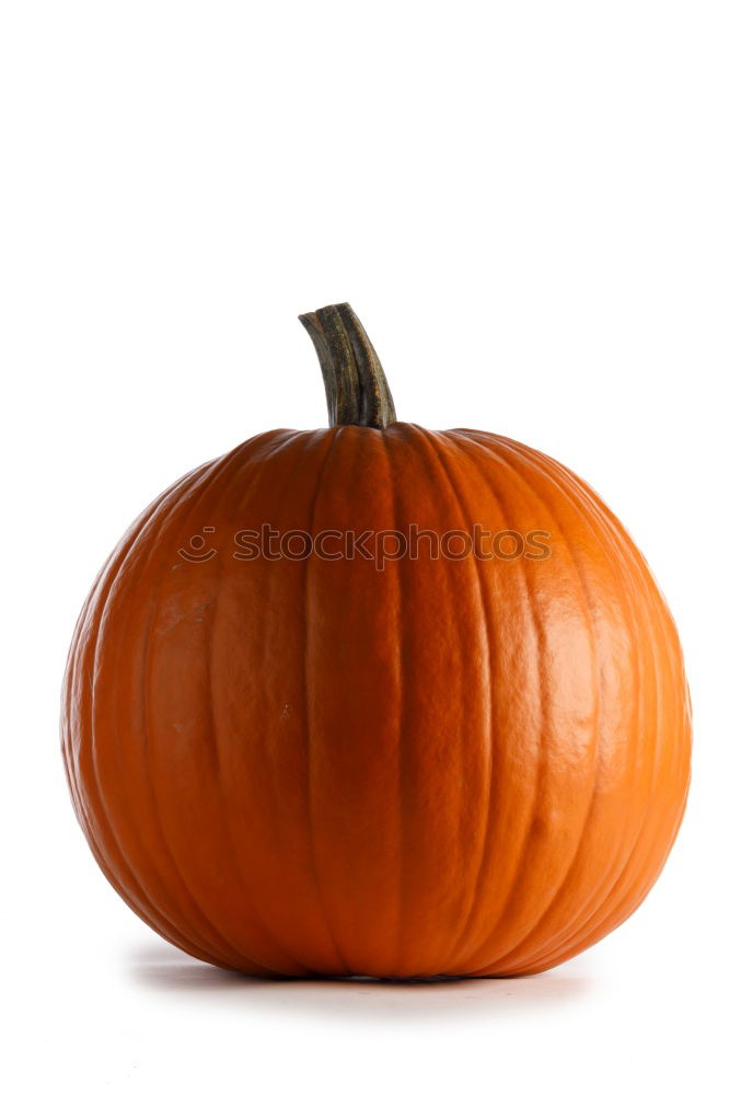 Similar – Image, Stock Photo Pumpkin on rustic wood