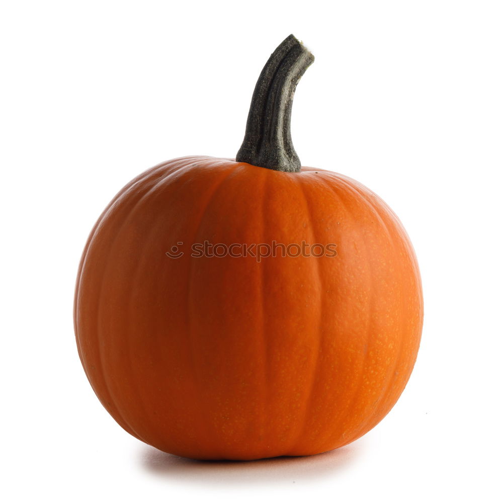 Similar – Image, Stock Photo Pumpkin on rustic wood