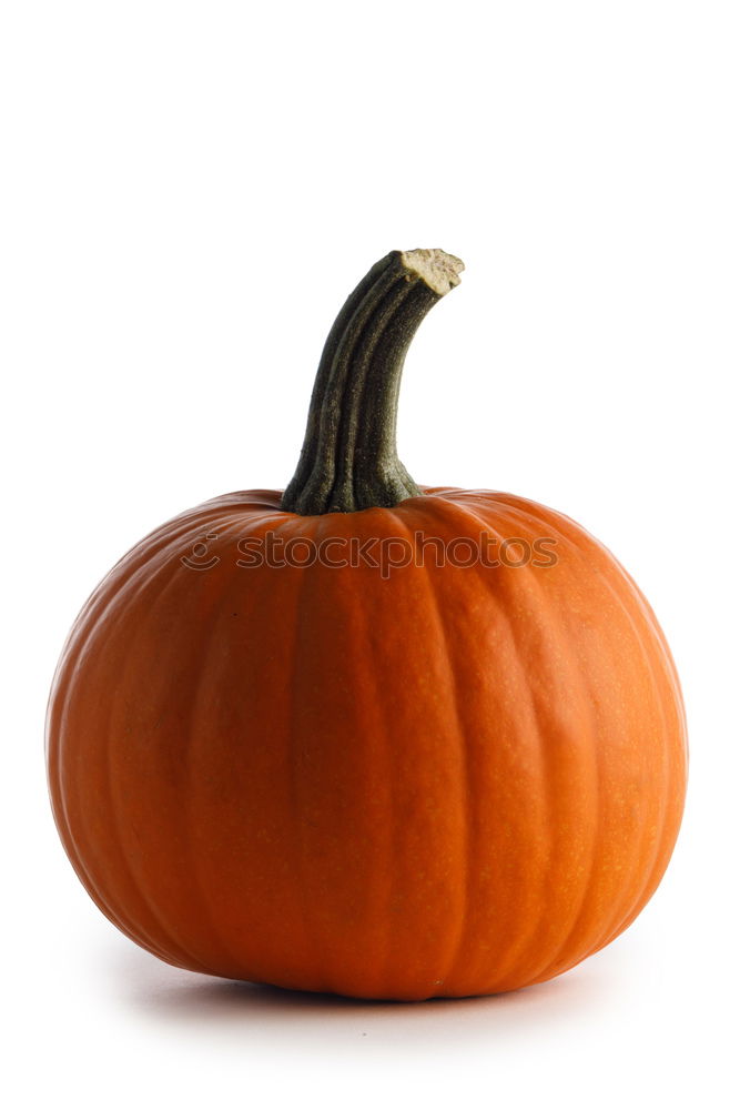 Similar – Image, Stock Photo Pumpkin on rustic wood