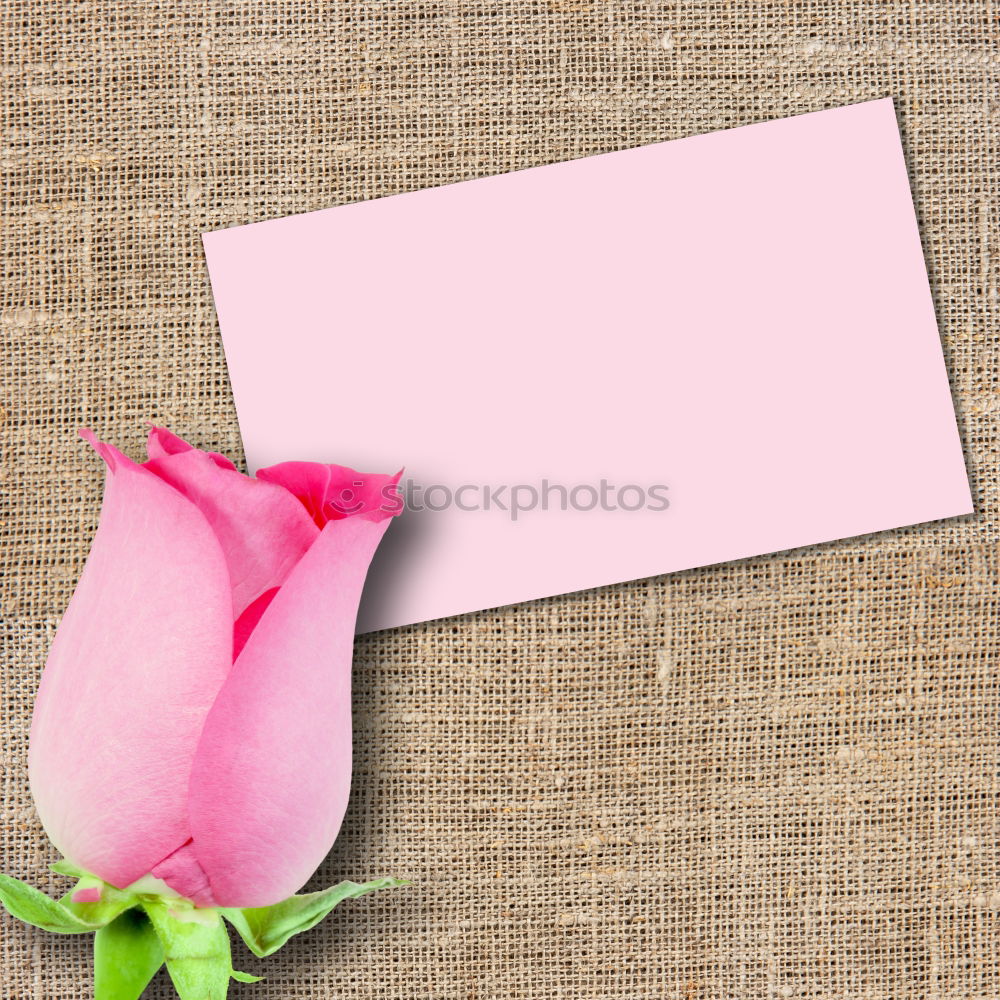 Similar – Pink flowers on white blank paper card