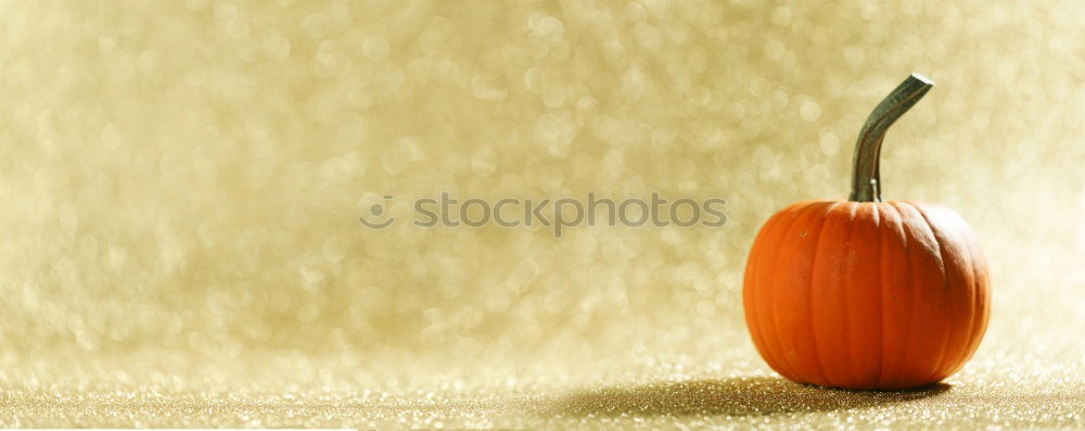 Similar – Image, Stock Photo Orange with a wonderful background