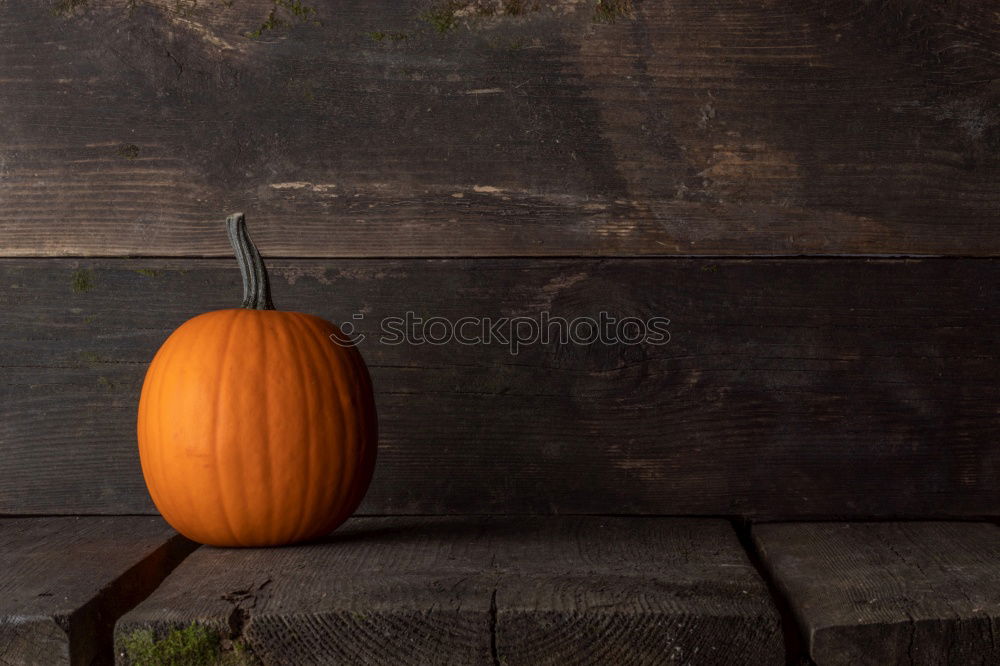 Similar – Image, Stock Photo KÜR V Food Vegetable
