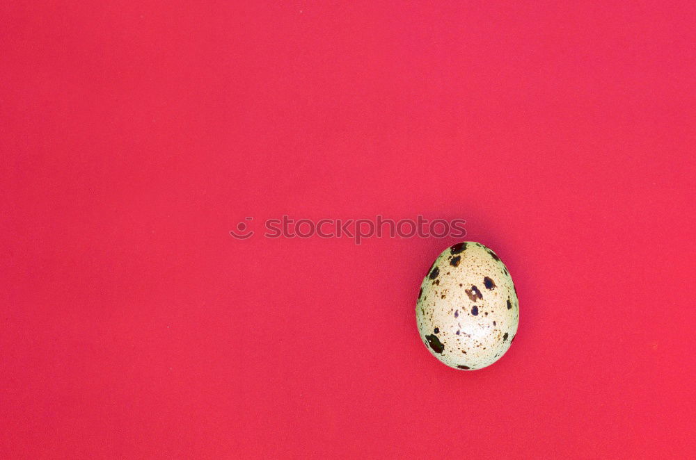 Similar – Image, Stock Photo #A# Bite solid Food