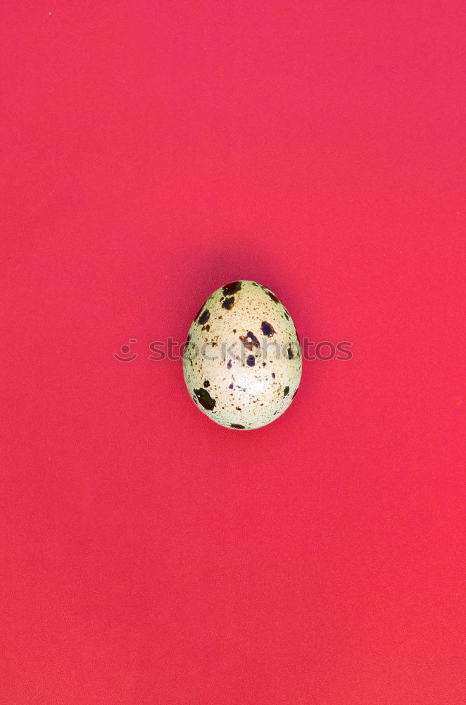 Similar – Image, Stock Photo #A# Bite solid Food