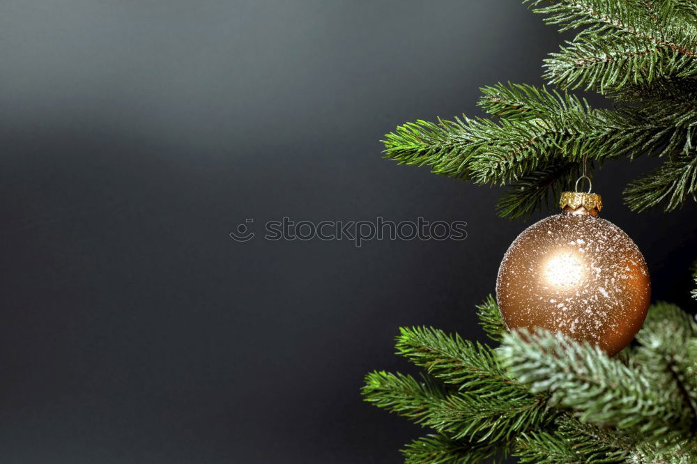 Similar – Image, Stock Photo Nostalgic Christmas decoration with delicate fir branches, red bauble and vases on an old table. Red christmas bauble hangs shiny on twigs. Glowing Christmas bauble hanging from branches in old white nostalgic porcelain pots at home.