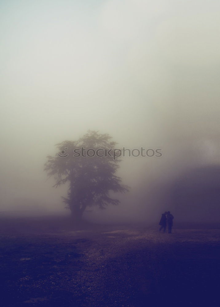 Similar – Image, Stock Photo piece of fence