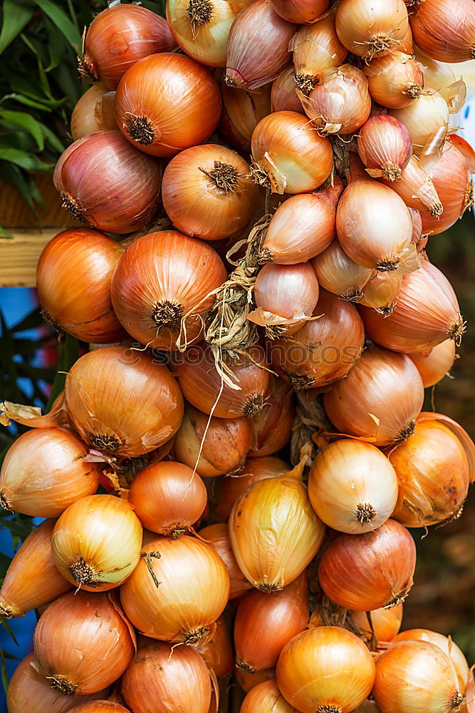 Similar – Image, Stock Photo Onions & Ginger Food