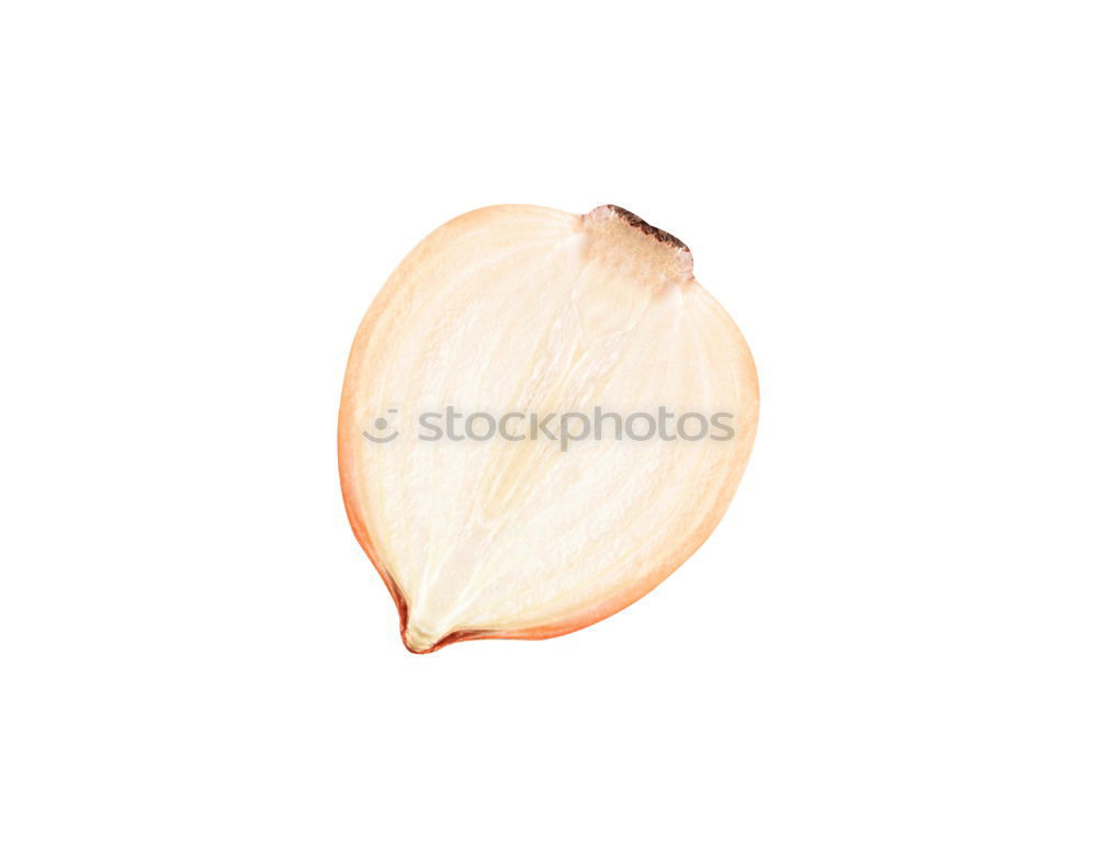 Similar – Image, Stock Photo herbarium Elegant Style