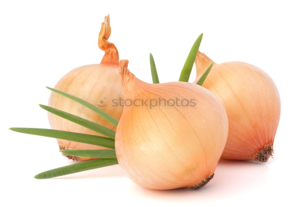 Similar – Image, Stock Photo onion Onion Vegetable