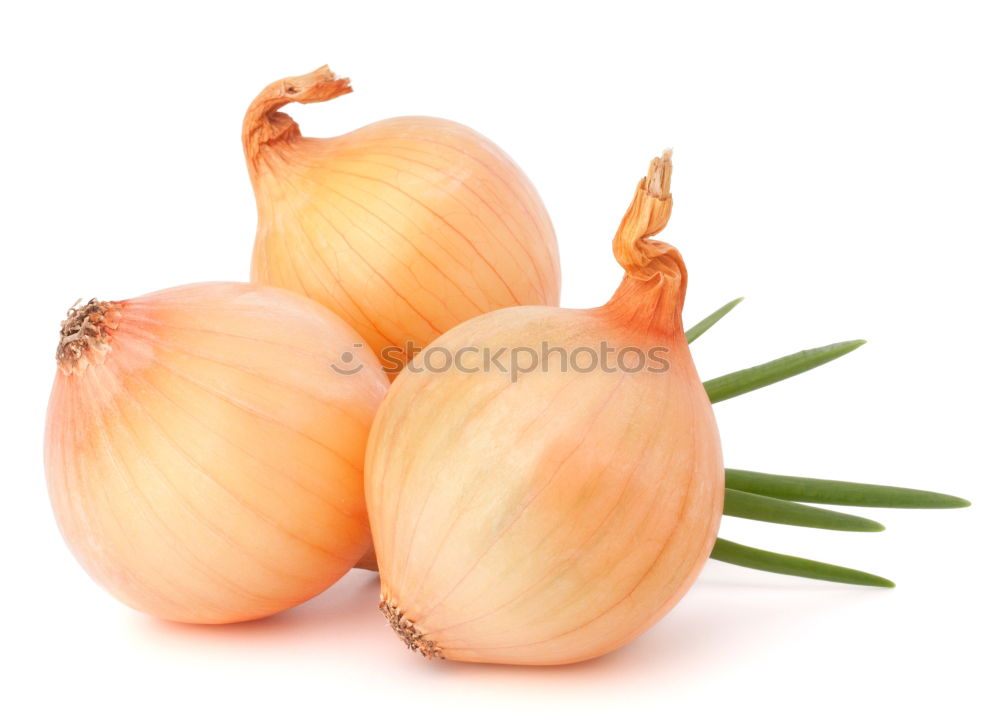 Similar – Image, Stock Photo onion Onion Vegetable