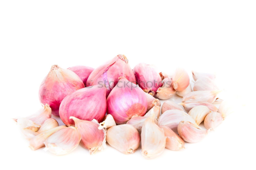 Similar – Pink Tulips On Turquoise Wood Table