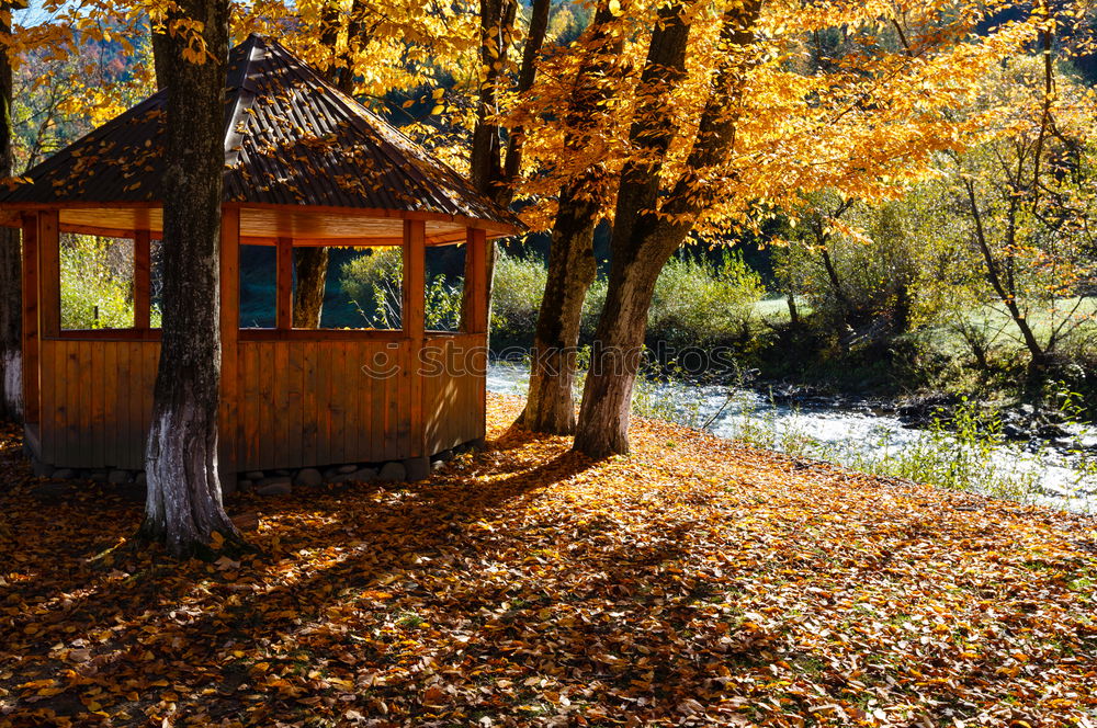 Similar – Image, Stock Photo Autumnal decay Hut